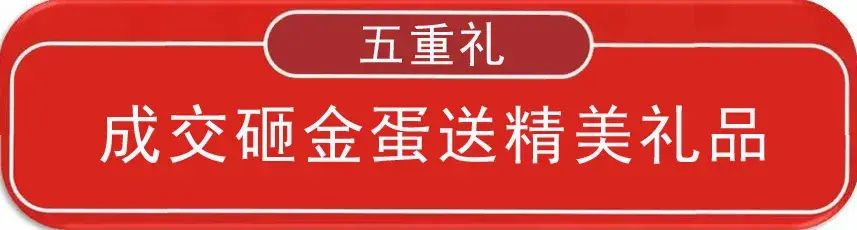 濮阳龙记观园|犇龙新春go