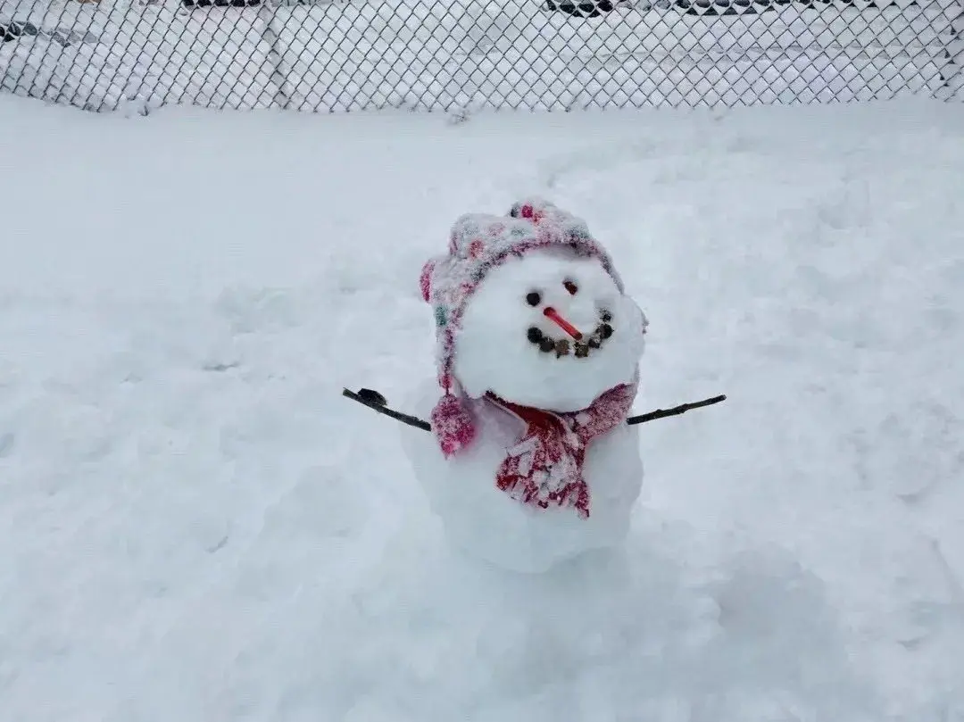 中深·濮阳中心丨濮阳下雪啦!注意保暖呦~