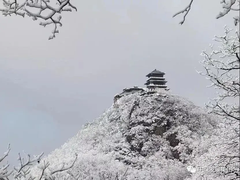 中深发展集团丨河南多地迎雨雪天气,雪后安全需注意!